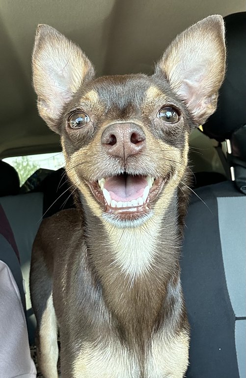 Фото из отзыва от 21.09.2024