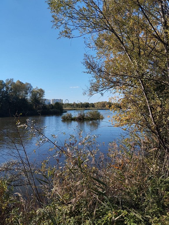 Фото из отзыва от 15.09.2024