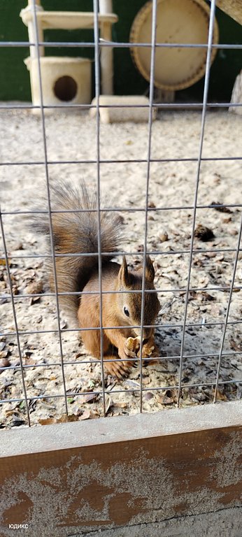 Фото из отзыва от 20.09.2024