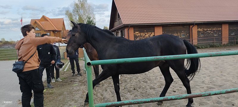 Фото 3 из отзыва о загородном клубе Малиновая слобода