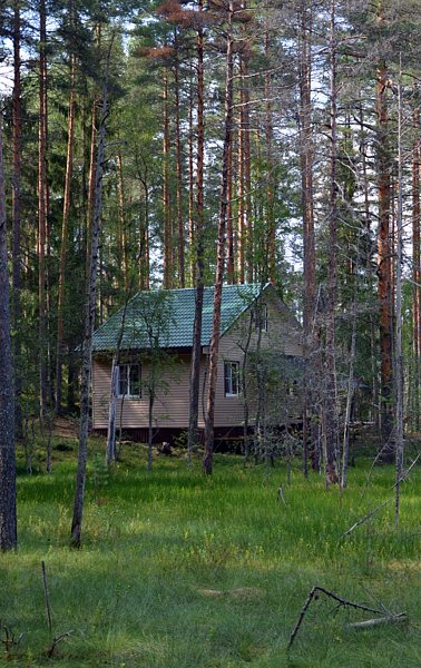 База отдыха ЭКОлес, Лодейнопольский район, Ленинградская область