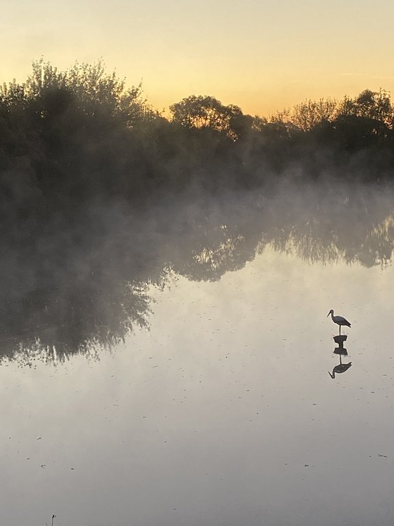 Фото из отзыва от 21.09.2024