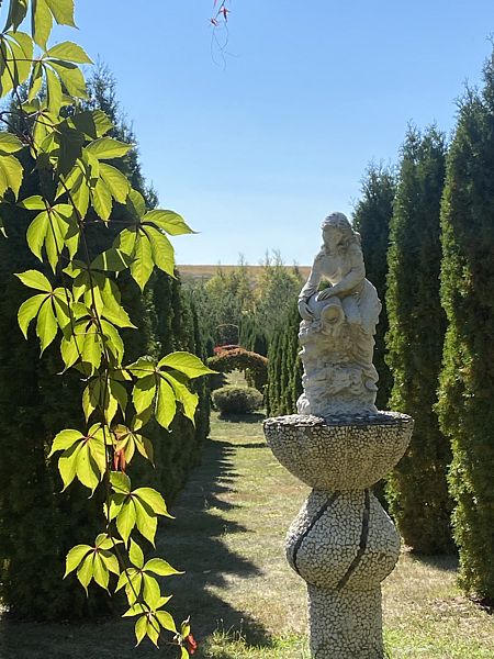 Фото 2 из отзыва о доме в аренду Дома в аренду