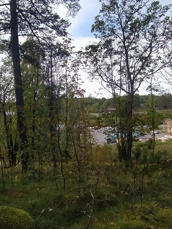 Фото из отзыва от 15.09.2024