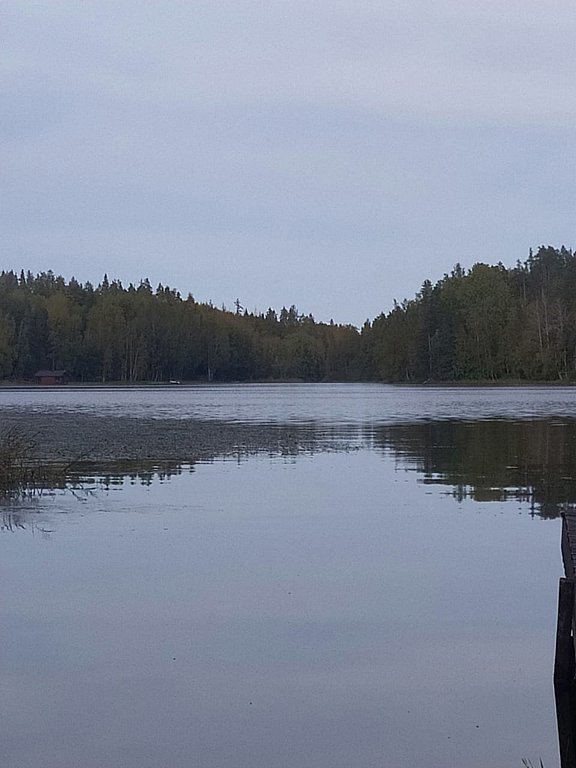 Фото из отзыва от 15.09.2024