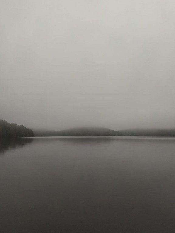 Фото из отзыва от 15.09.2024