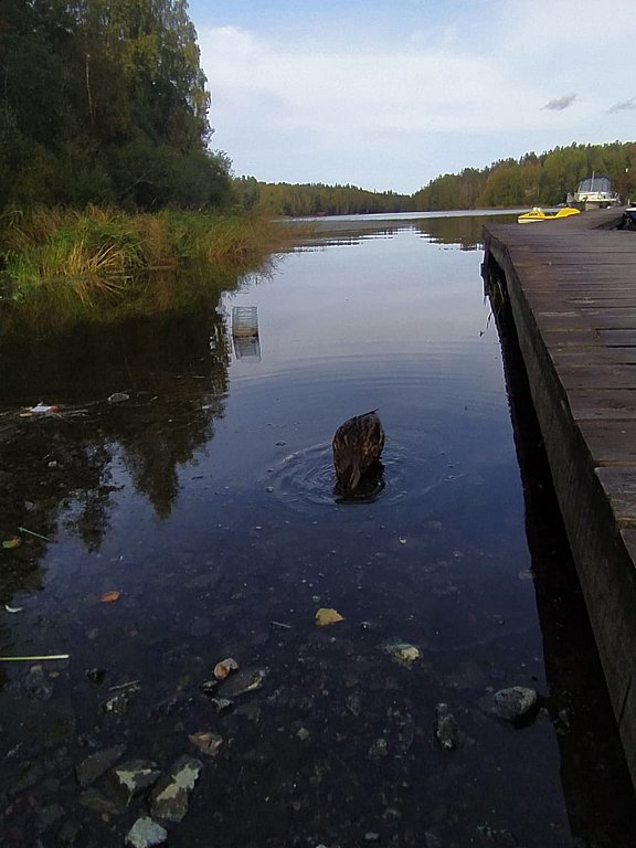 Фото из отзыва от 15.09.2024