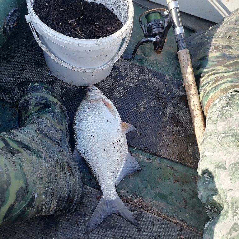 Фото из отзыва от 21.09.2024