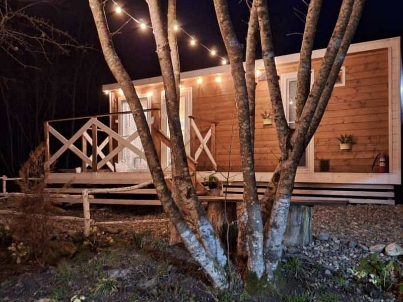 Коттедж 2-местный (Лесной домик)