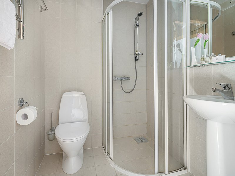 Улучшенный 2-местный Мансардный