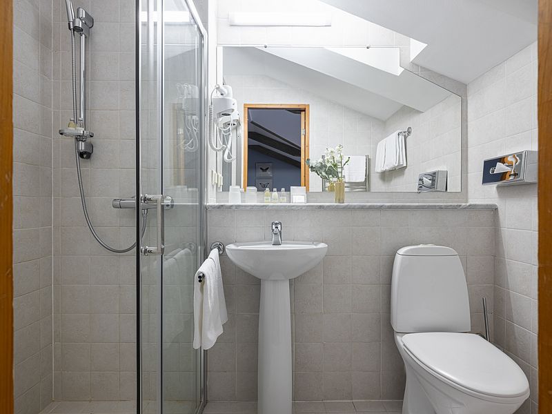 Улучшенный 2-местный Мансардный