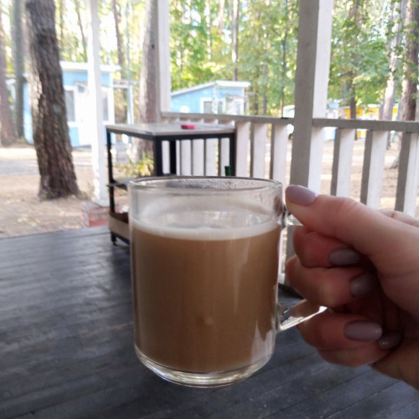 Фото 1 из отзыва о лесном отеле Ежи