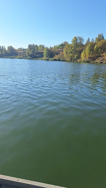 Фото 8 из отзыва о загородном комплексе Scandi
