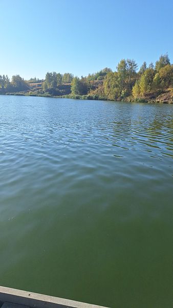 Фото 8 из отзыва о загородном комплексе Scandi