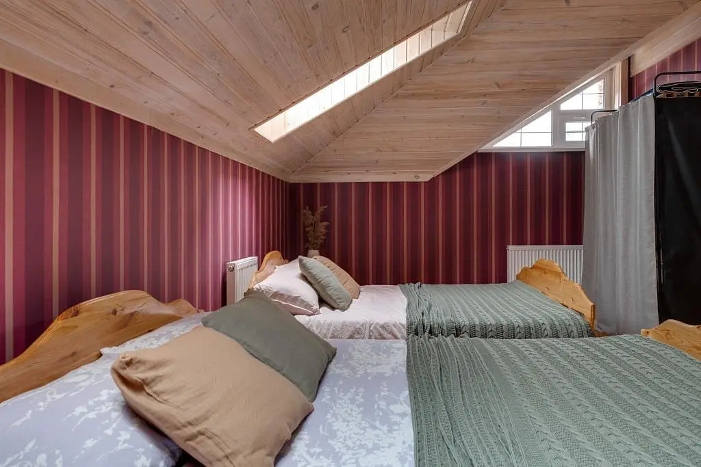 Shagal Chalet, Московская область: фото 2
