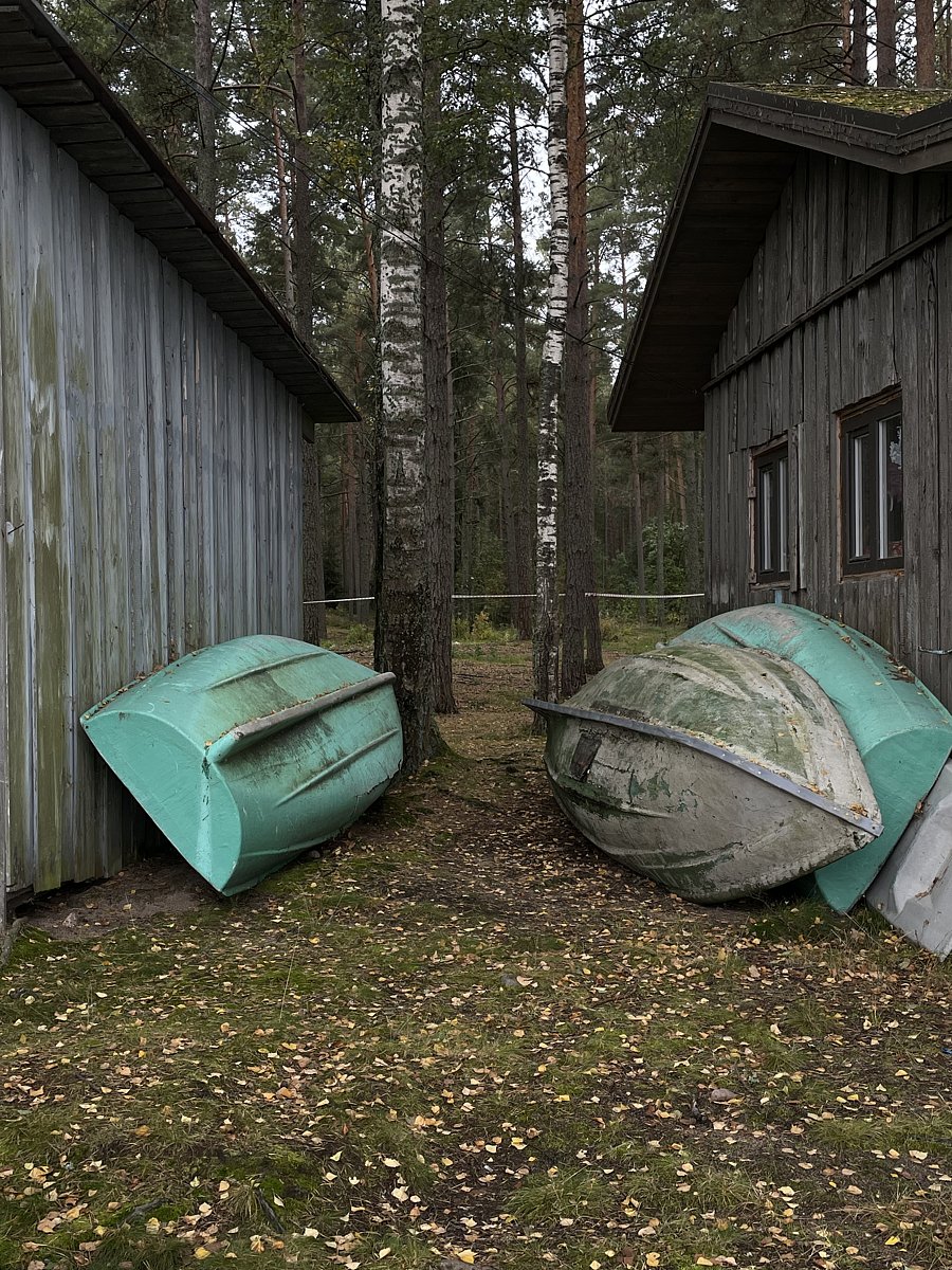 Фото 6 из отзыва о базе отдыха Янтарный берег