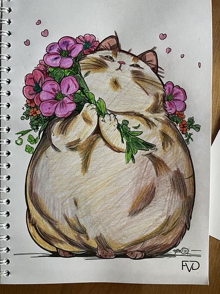 Фото 5 из отзыва о базе отдыха Янтарный берег