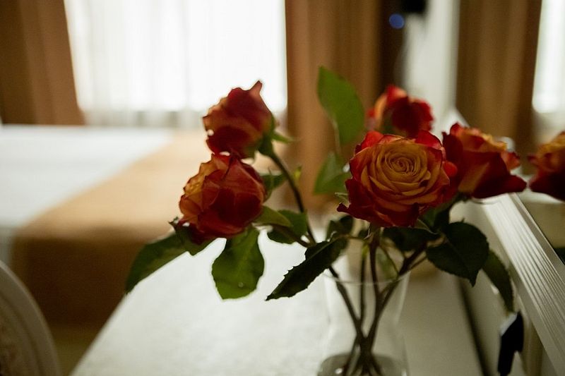 Стандартный 2-местный Orange Grand