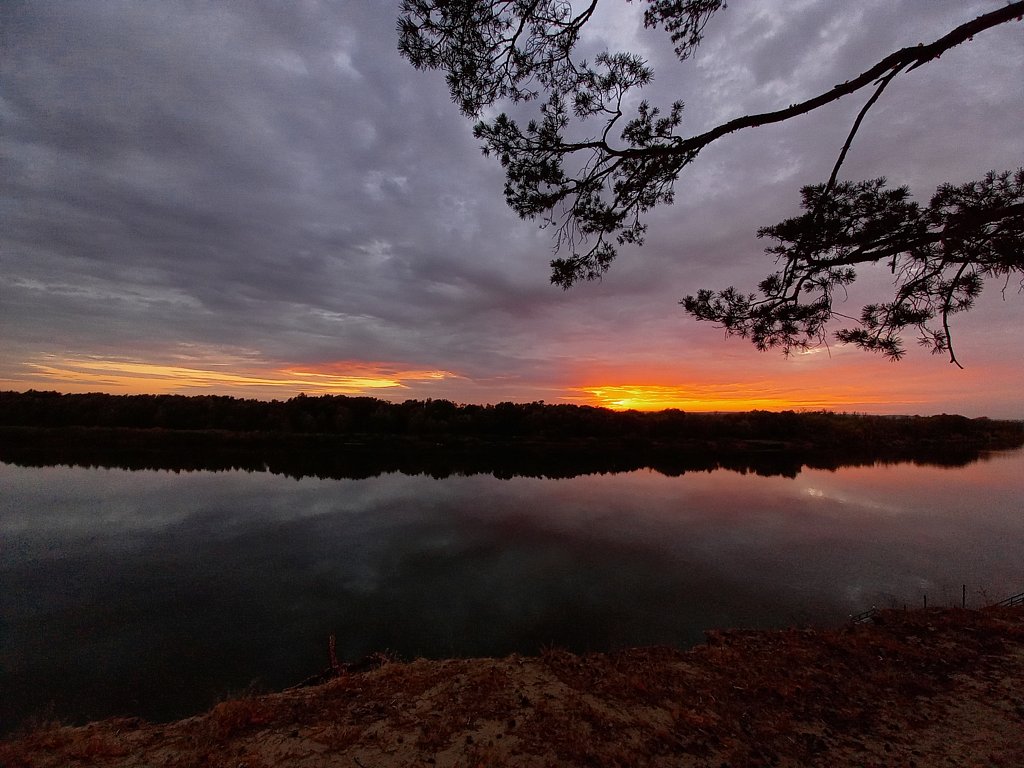 Фото из отзыва от 03.10.2024