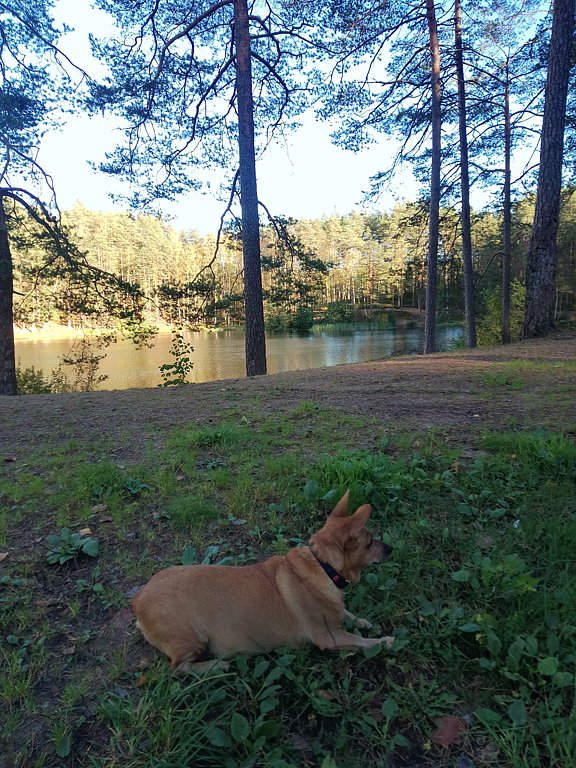 Фото из отзыва от 05.10.2024