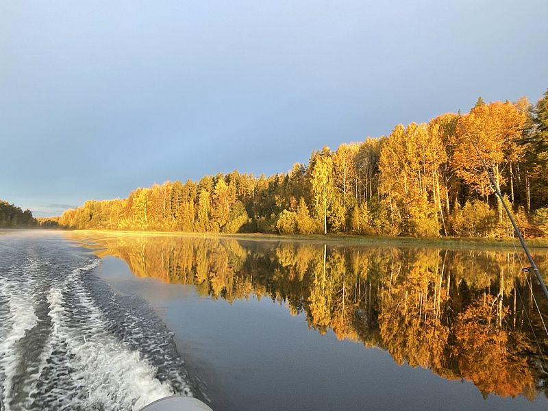 Фото 1 из отзыва о базе отдыха Annilahti (Аннилахти)