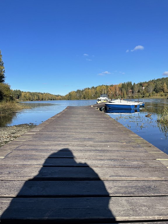 Фото из отзыва от 04.10.2024