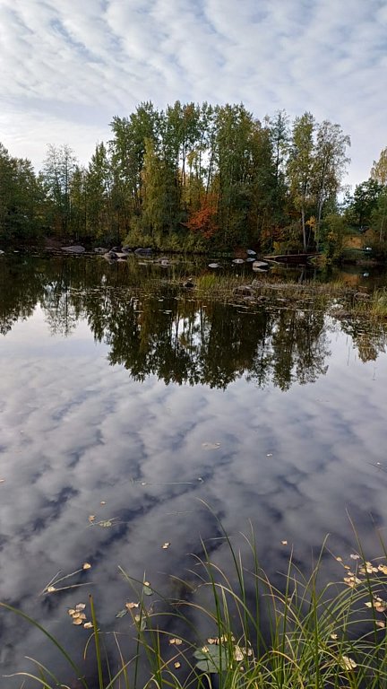 Фото из отзыва от 04.10.2024