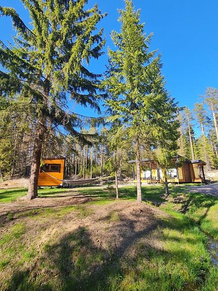 Tammiko, Ленинградская область: фото 3