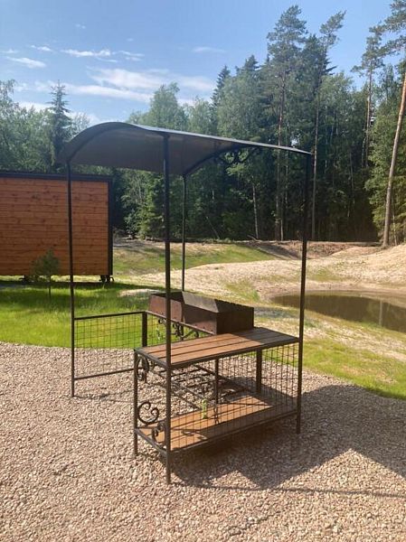 Tammiko, Ленинградская область: фото 5