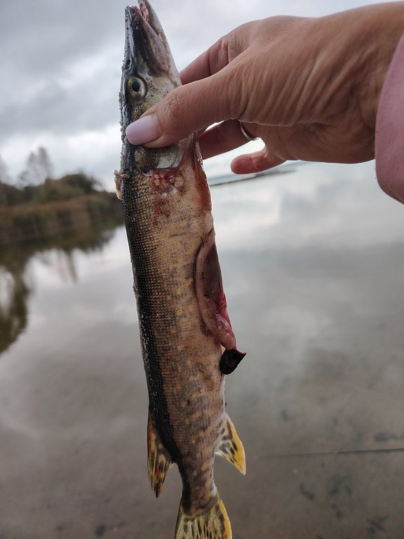 Фото из отзыва от 04.10.2024