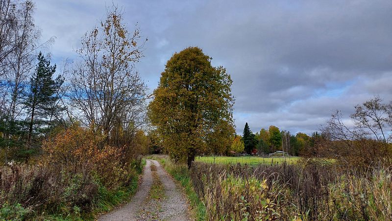 Фото 6 из отзыва об эко-комплексе Эко-хутор Ряйсяля