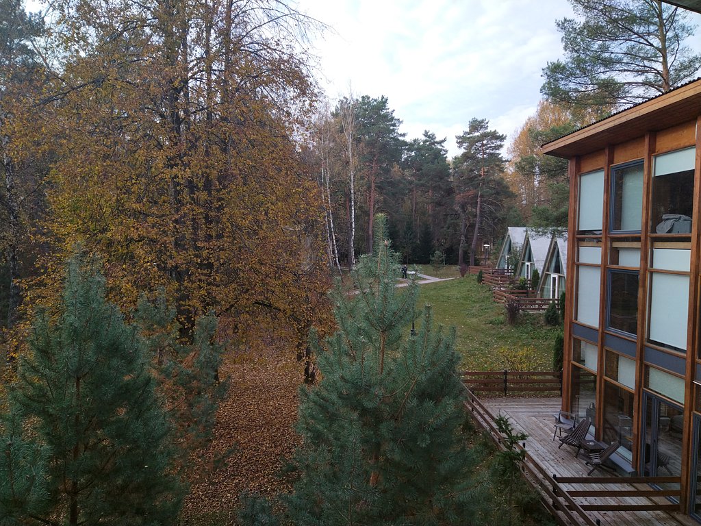 Фото из отзыва от 11.10.2024