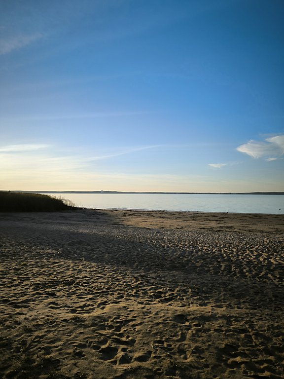 Фото из отзыва от 08.10.2024