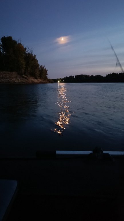 Фото из отзыва от 07.10.2024