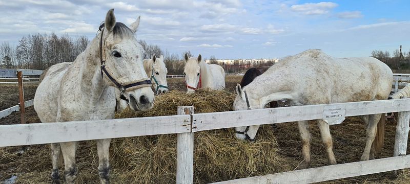 Впервые в Марьино