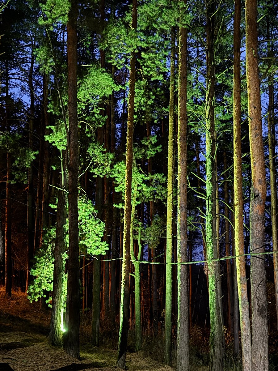 Фото 9 из отзыва о спа-отеле Алсма