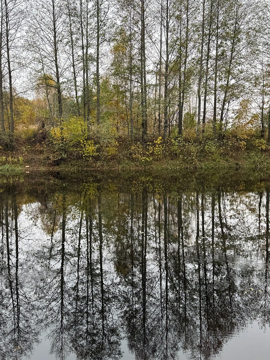 Фото 7 из отзыва о спа-отеле Алсма