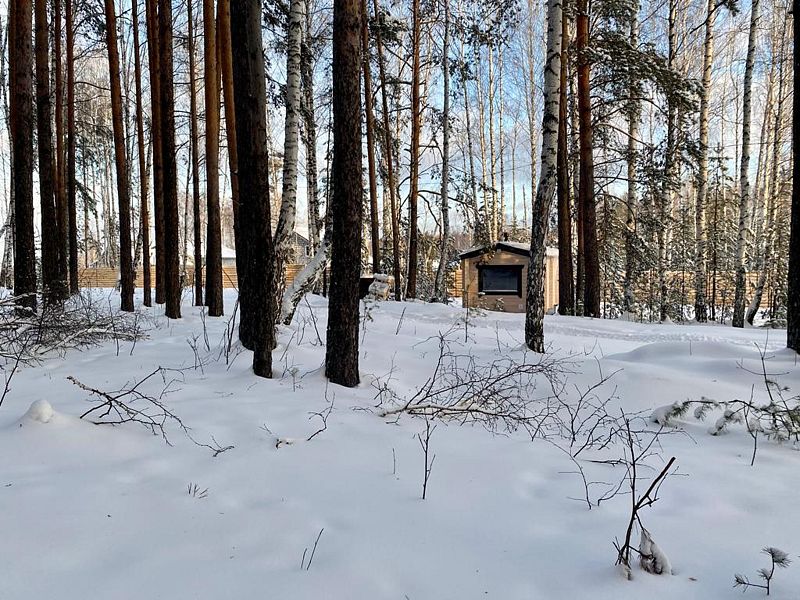 Dreamhouse Village, Свердловская область: фото 3