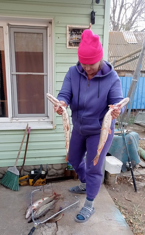 Фото из отзыва от 21.10.2024