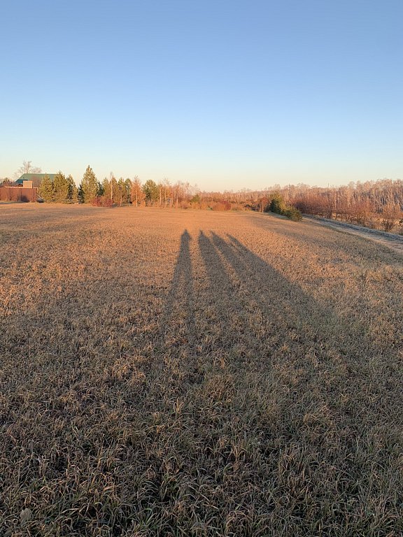 Фото из отзыва от 19.10.2024