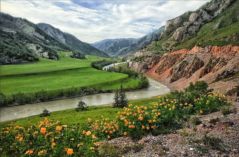 Белый Аист, Алтайский край: фото 3