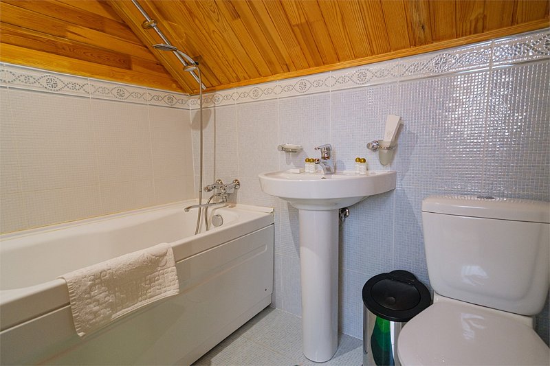 Стандартный 1-местный (мансарда)