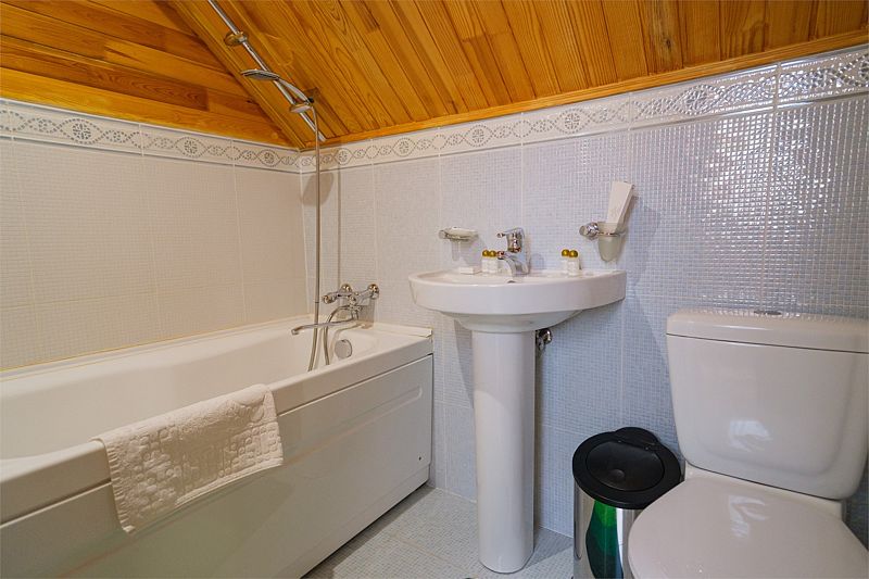 Стандартный 1-местный (мансарда)