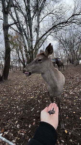 Фото 10 из отзыва о базе отдыха Донская Миля