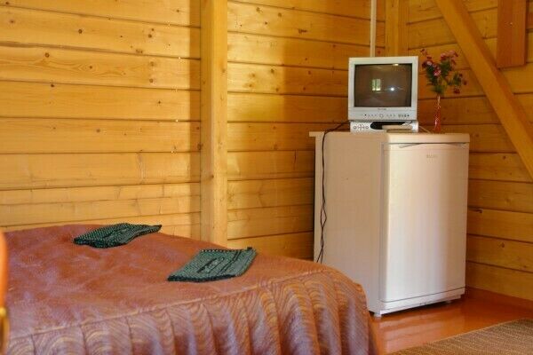 Холодильник и телевизор