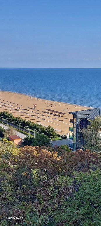 Фото из отзыва от 29.10.2024