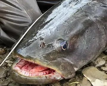 Удылькан, Хабаровский край: фото 2