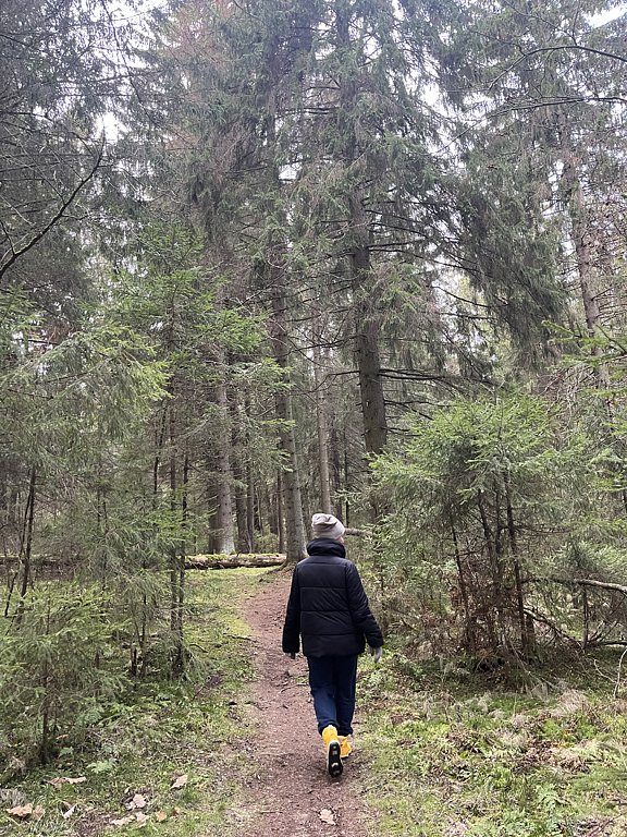 Фото из отзыва от 01.11.2024