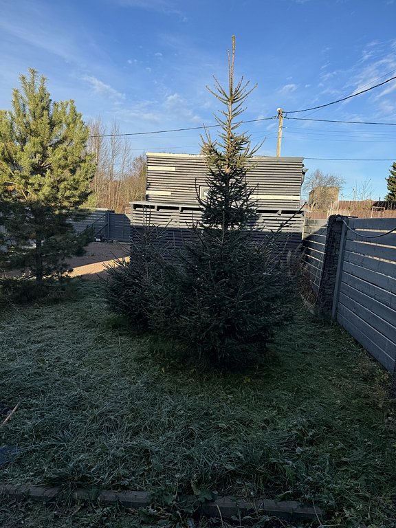 Фото из отзыва от 01.11.2024