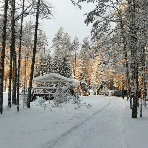 Экопарк Большая Рыба, Псковская область: фото 2